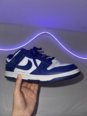Nike Low-Top Dunk in White and Navy